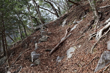 別府峡　石立山　登山