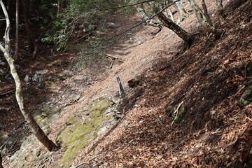 別府峡　石立山　登山