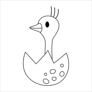 recommend clip art: Vector black and white ostrich nestling icon. Little African bird outline illustration. Cute line drawing of just hatched animal sitting in egg shell isolated on white background. .