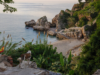 Playa Carabeillo, empty beautiful beach at sunrise in the old town of nerja, spain