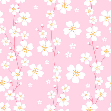 Seamless pattern with white Sakura flowers on a pink background vector illustration