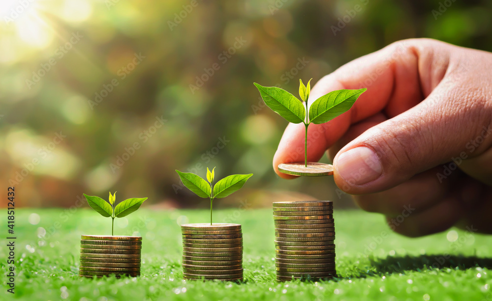 Poster saving money hand putting coins on stack with small tree growing. concept finance and accounting
