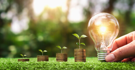hand holding light bulb on green grass with young plant growing on coins stack. saving power energy...