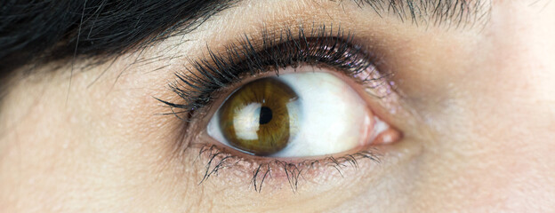 Brown female eye with painted eyelashes, Close-up.