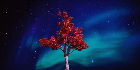 Beautiful colorful landscape with a lonely tree in a field./Night sky with stars and silhouette mangrove tree . - 418513071