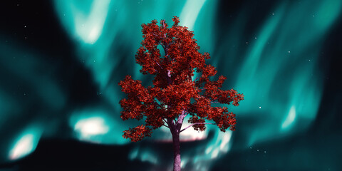 Beautiful colorful lonely tree./Night sky with stars and silhouette mangrove tree . - 418513259