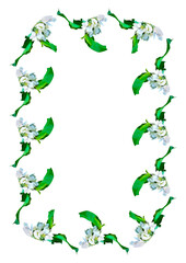 Frames are a branch of apple blossoms with leaves on the white background of the A4, vertical image