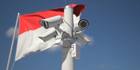 Naklejka na ściany i meble Waving flag of Indonesia and the security cameras. 3d rendering