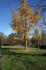 181123-24 Турин Италия Turin Italy