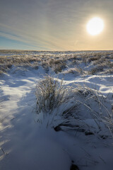 After a heavy snowfall, a bright sun highlghts the ice as it forms on reed stems on moorland at 900ft
