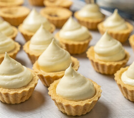 Freshly baked cheese tarts with cream cheese fillings. Selective focus.