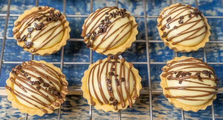 Freshly baked cheese tart with chocolate toppings. Selective focus.
