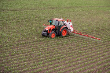 Fototapeta premium Tractor spraying pesticides at corn fields