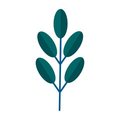 Simple minimalistic green branch of tree with leaves. Floral collection of elegant plants for seasonal decoration . Stylized icons of botany. Stock vector illustration in flat style isolated on white.