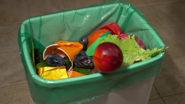 Uneaten rotten fruits are thrown in the trash. Food Loss and Food Waste. Reducing Wasted Food At Home