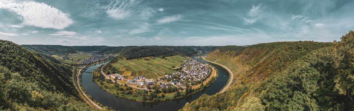 Moselle loop near Bruttig-Fankel and the wine village of Ernst. Panoramic view of the Moselle vineyards, Germany..Created from several images to create a panorama image.