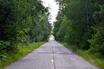 Lonely road between trees which are forming tunnel 