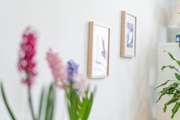 fragment of a home interior. A light wall with frames in the room. Spring mood with blooming bulbous hyacinth flowers in a blur. Selective focus on the frame