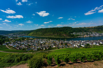 Fototapeta na wymiar Panoramic view of the Moselle vineyards, Germany..Alken on the Moselle.