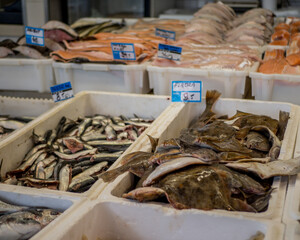 Targ rybny © Marcin