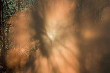Obraz premium bright sun rays shine beautifully through the water mist on a frosty winter day