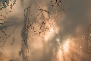 bright sun rays shine beautifully through the water mist on a frosty winter day