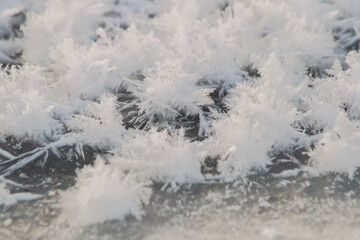 Fototapeta na wymiar on a frosty winter day, beautiful ice figures similar to snow-white flowers form on the ice