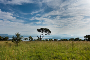 Naklejka na ściany i meble Landscape in the Akagera National Park, Rwanda, Africa