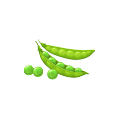 Green pea pods and seeds vector natural vegetable, isolated healthy food. Cartoon beans veggies, organic raw plant, design element, sign on white background