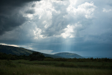 Obraz na płótnie Canvas Landscape before a storm in the Akagera National Park, Rwanda, Africa