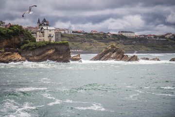 Biarritz, France - August 11 2019: Rough sea with seagull in the foreground and the coast of Biarritz in the background on a cloudy day
