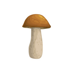 Mushroom boletus or cep vector icon, cartoon vegetable or forest plant with brown cap and mottled stipe. Autumn season symbol, botanical object isolated on white background