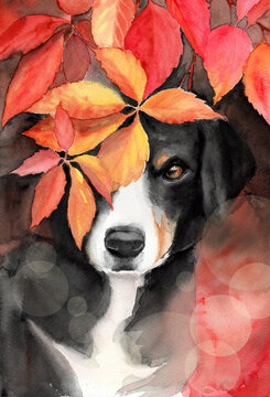 Watercolor illustration of a cute black dog in colorful autumn leaves
