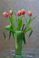 tulips in vase