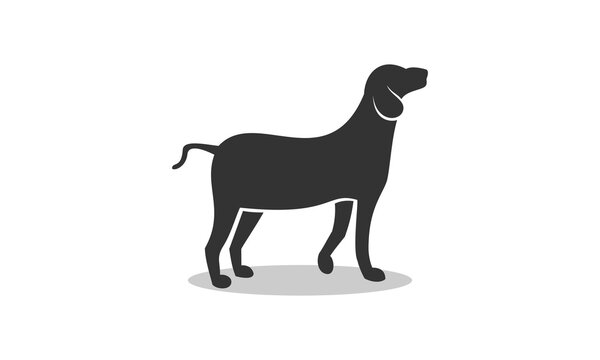 185,312 BEST Dog Run IMAGES, STOCK PHOTOS & VECTORS | Adobe Stock