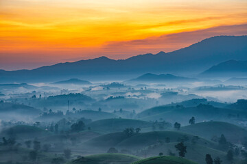 Sunrise in Tea hills in Long Coc highland, Phu Tho province in Vietnam