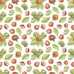 Hazelnuts. Hand drawn watercolor illustration. Healthy food natural products vitamins. Sketch print textile seamless patern set
