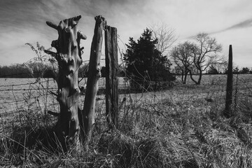 Fenceline in Lincoln County, Missouri