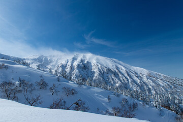 Fototapeta na wymiar 北海道　十勝岳連峰の冬の風景