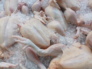 Chicken on ice