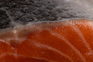 closeup of a salmon filet with skin used as a condiment for healthy, low-carb diet with less fat