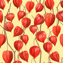 Watercolor seamless pattern with bright orange physalis.