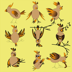 pattern with birds. Funny birds