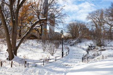 Beautiful Empty Winter Steps up a Hill at Central Park Covered with Snow in New York City