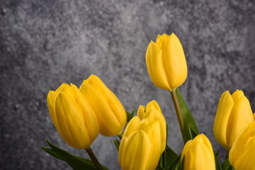Fototapeta premium bouquet of yellow tulips in a vase on a gray background 