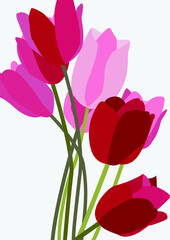Flat illustration of a bunch of colorful tulips. Vector drawing of flowers on a gray background. Design for posters, cards, backgrounds, greetings, invitations, menus, textiles.