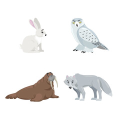 Arctic animals set. Polar hare, snow owl, walrus and polar wolf. Cartoon flat design. Vector illustrations isolated on white background.