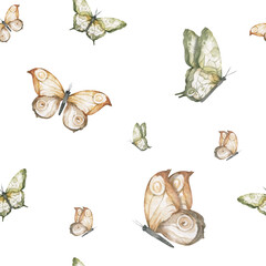 Seamless pattern watercolor flying butterflies, Hand drawn painting illustration. Collection of hand drawing butterflies. White background