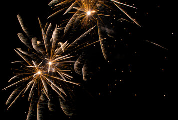 fireworks in the night sky