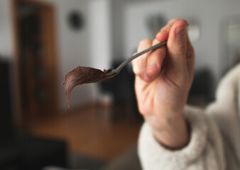 A spoon filled with chocolate